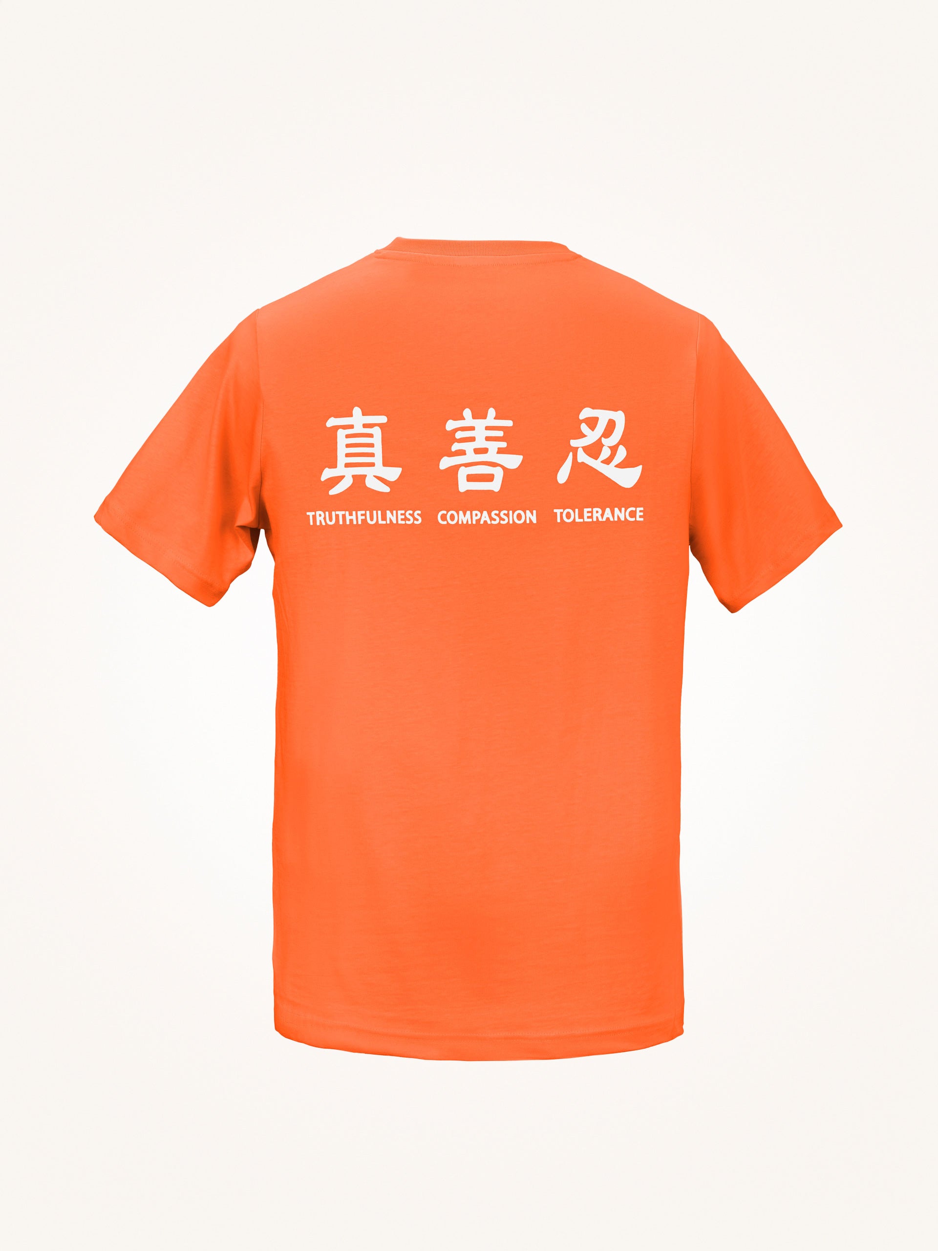 Truthfulness, Compassion, Tolerance T-Shirt (2023-1) – Shen Yun Dancer