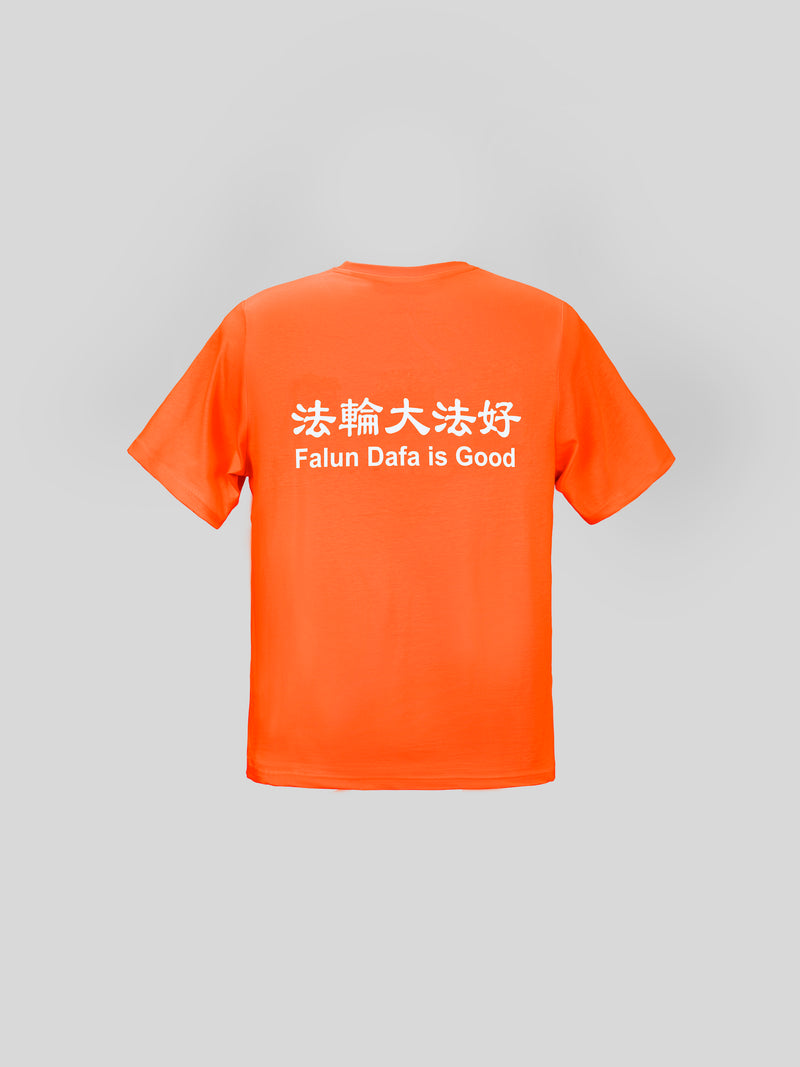 Kids' Falun Dafa is Good T-Shirt